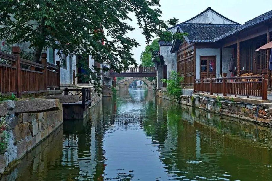 2024年1月份生肖狗学习运势展望